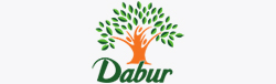 Paradise Packers and Movers Palavanthangal