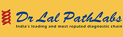 Paradise Packers and Movers Palavanthangal