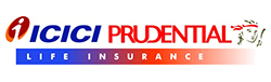 Paradise Packers and Movers Palavanthangal